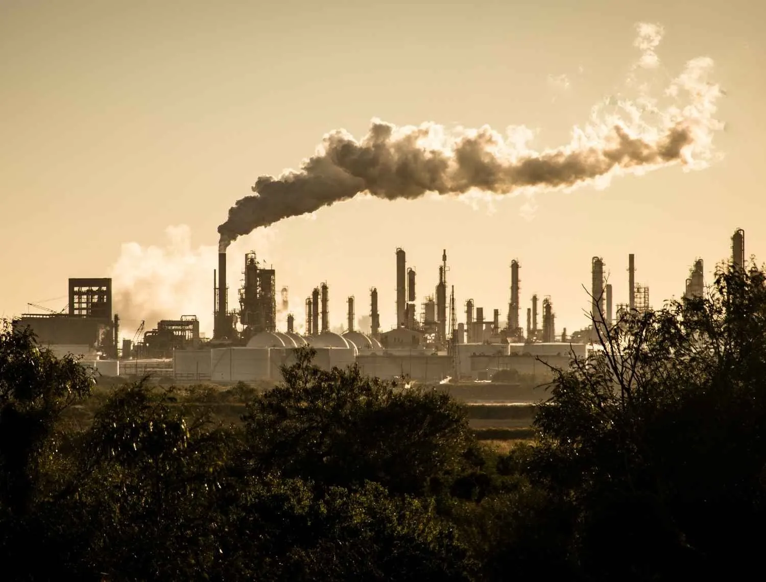 Net zero blog image